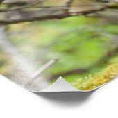 決意した山嵐 フォトプリント            (角)