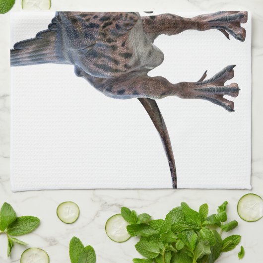 決闘の恐竜 キッチンタオル (折り畳み)