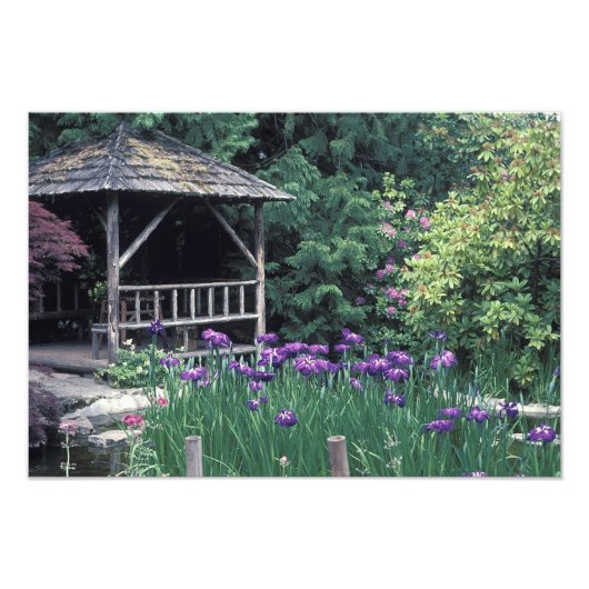 沈没庭園の木製パビリオン フォトプリント            (正面)