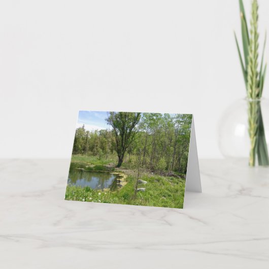 沈静池の風景 シーズンカード (正面)