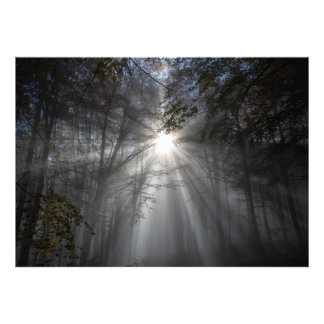 沈黙の季節 フォトプリント           