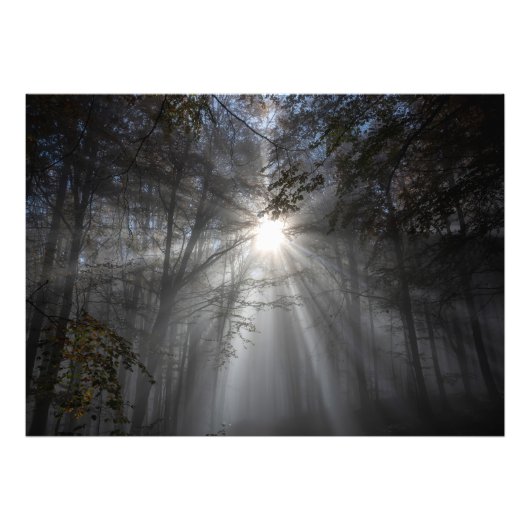 沈黙の季節 フォトプリント            (正面)