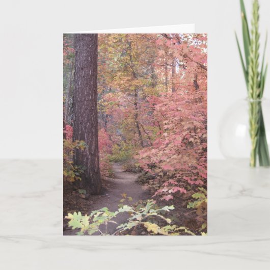 沈黙及び甘さ(1)の挨拶状 カード (正面)