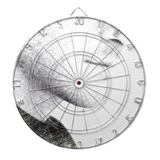 沈黙 ダーツボード (正面)