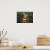 沖積地域金ゴールド鉱業。ガイアナ、熱帯雨林。 ポスター (キッチン)