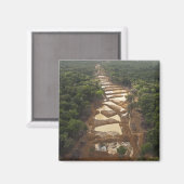 沖積地域金ゴールド鉱業。ガイアナ、熱帯雨林。 マグネット (正面/裏面)