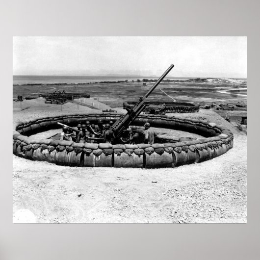 沖縄のオウム銃 ポスター (正面)