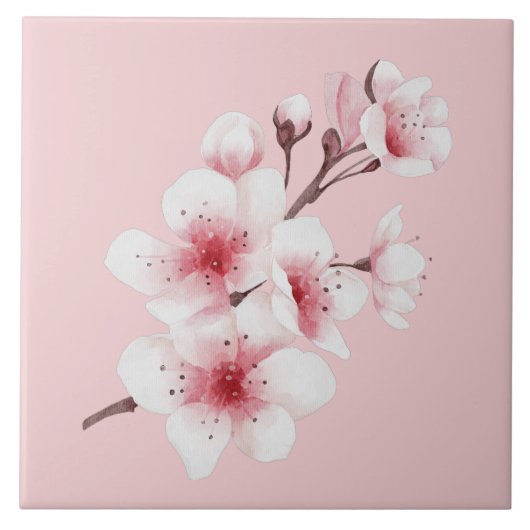 沖縄シリーズデザイン30 タイル (正面)