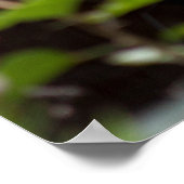 沖縄家屋の瓦屋根 ポスター (角)