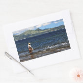 沖縄漁師 長方形シール (封筒)