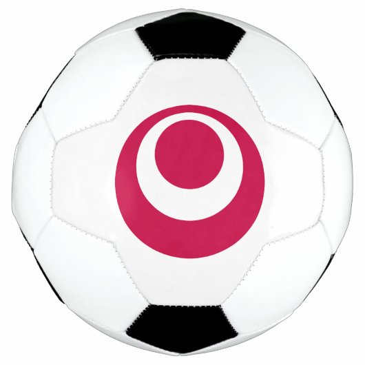 沖縄県国旗 サッカーボール (正面)