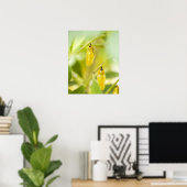 沖縄県産紙カイトバタフライの繭 ポスター (ホームオフィス)