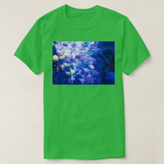 沖縄魚 Tシャツ (デザイン正面)
