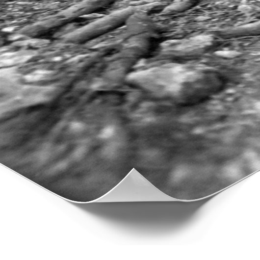 沖縄 ポスター (角)