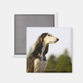 沙流木 マグネット (正面/裏面)