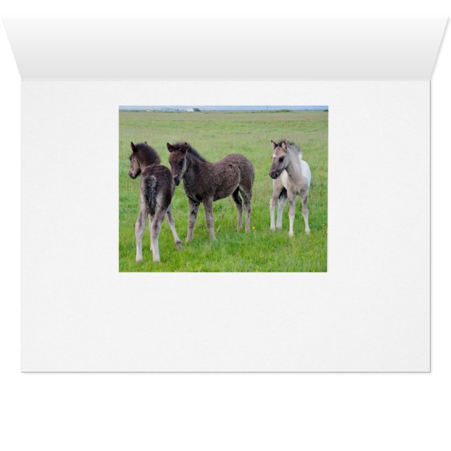 沢山のより多くの馬(横) (内部横(下))