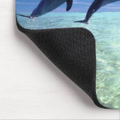 沢山のイルカ マウスパッド (コーナー)