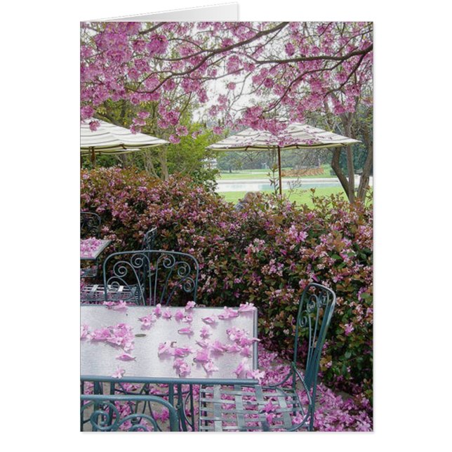 沢山の花びら (正面)