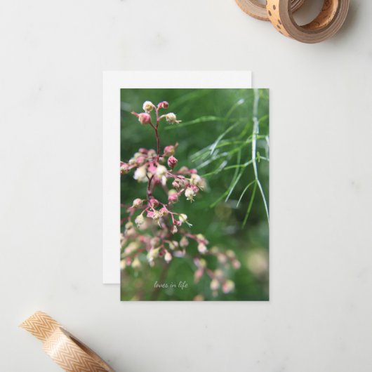 河内寺花 ノートカード (正面/裏面インサイチュ)