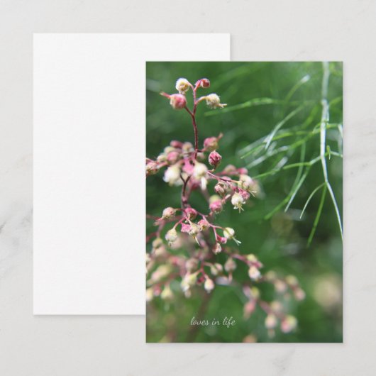 河内寺花 ノートカード (正面/裏面)