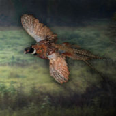 河口の爽やかなムース キャンバスプリント