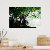 河川分素晴らし割ポスター ポスター (キッチン)