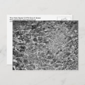 河川水のさざ波 ポストカード (正面/裏面)