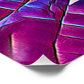 河川水 ポスター (コーナー)