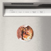 河川精神 マグネット (インサイチュ (食洗機))