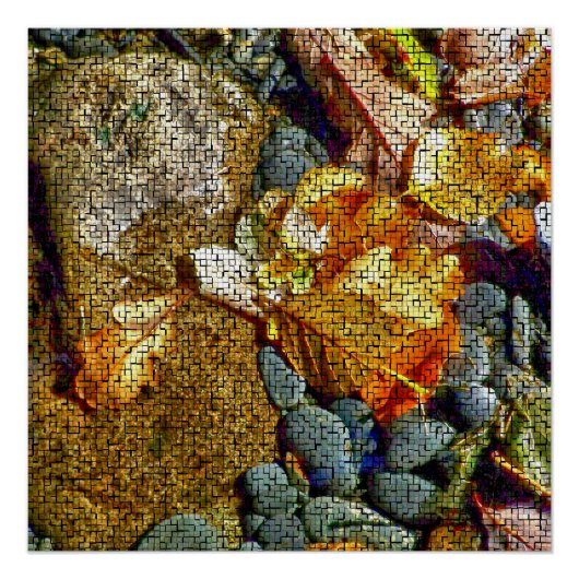 河川 ポスター (正面)