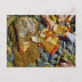 河川 ポストカード (正面)