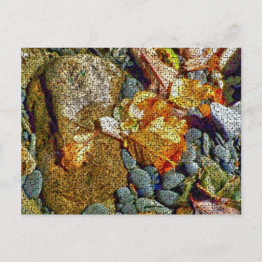 河川 ポストカード (正面)