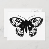油かわいらし蝶 ポストカード (正面/裏面)