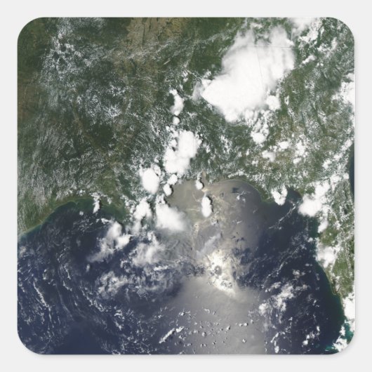油が北東に広がる スクエアシール (正面)