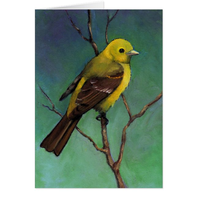 油のパステル、現実主義の芸術のフウキンチョウ族(鳥) (正面)