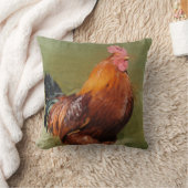 油の色彩の鮮やかな鶏の装飾用クッション クッション (ブランケット)