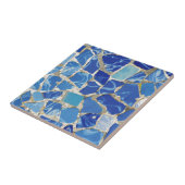 油のTouchのGaudiのモザイク タイル (側面)