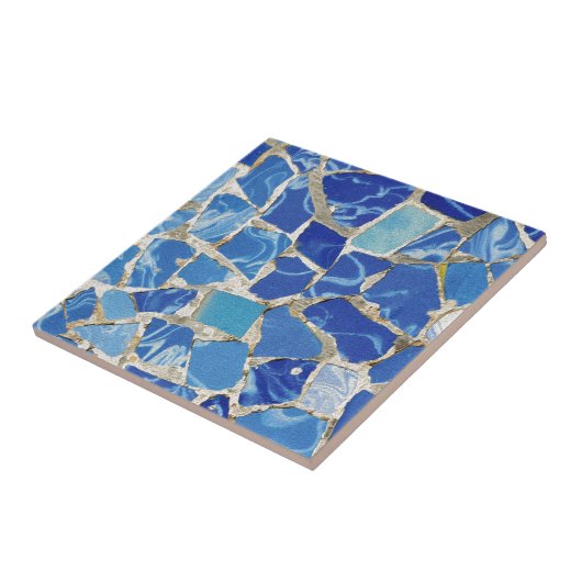 油のTouchのGaudiのモザイク タイル (側面)