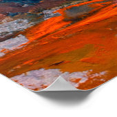 油絵の花、トウモロコシの花、フィールドのデイジー。 ポスター (角)