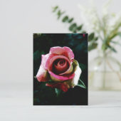 油絵を描レッドローズ シーズンポストカード (スタンド正面)