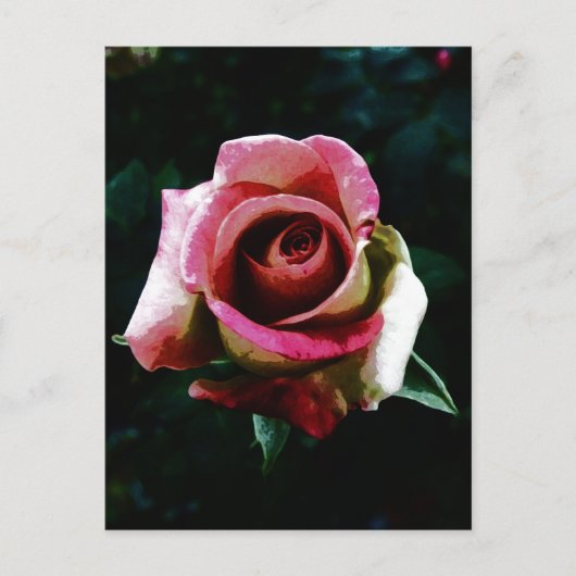 油絵を描レッドローズ シーズンポストカード (正面)