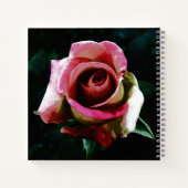 油絵を描レッドローズ ノートブック (裏面)