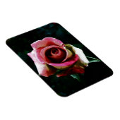 油絵を描レッドローズ マグネット (右側)