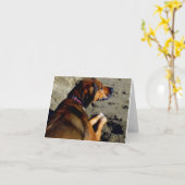 油 カード (黄色い花)