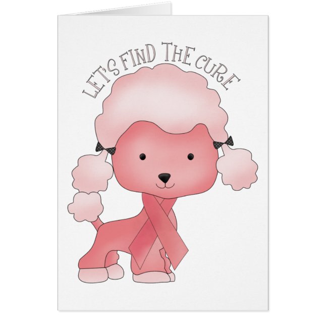 治療のプードルを見つけよう (正面)