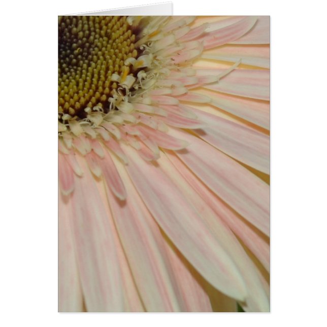 治療の花のための植物 (正面)