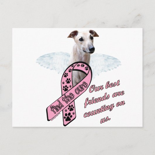 治療の~の翼を見つけて下さい ポストカード (正面)