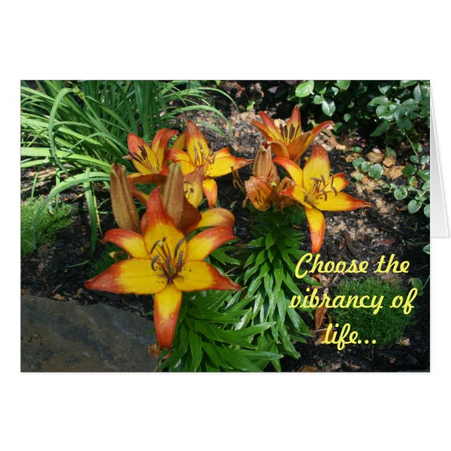 治療カード (正面横)