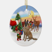 治療 – ベルギーマリノワ セラミックオーナメント (右)