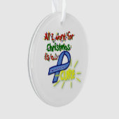 治療TSCのオーナメント オーナメント (正面)